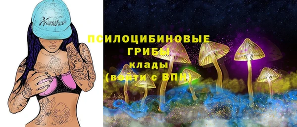 2c-b Абдулино