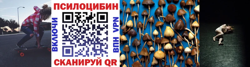 Псилоцибиновые грибы GOLDEN TEACHER  закладка  Кызыл 